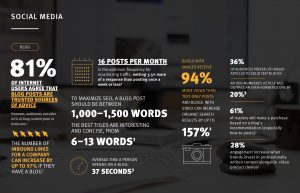 social media blog statisics