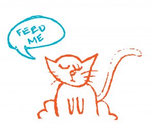 Cat saying, "feed me."