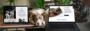 Veterinary hospital website designs