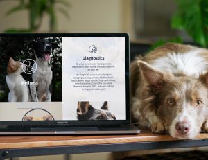 Veterinary Hospital website design